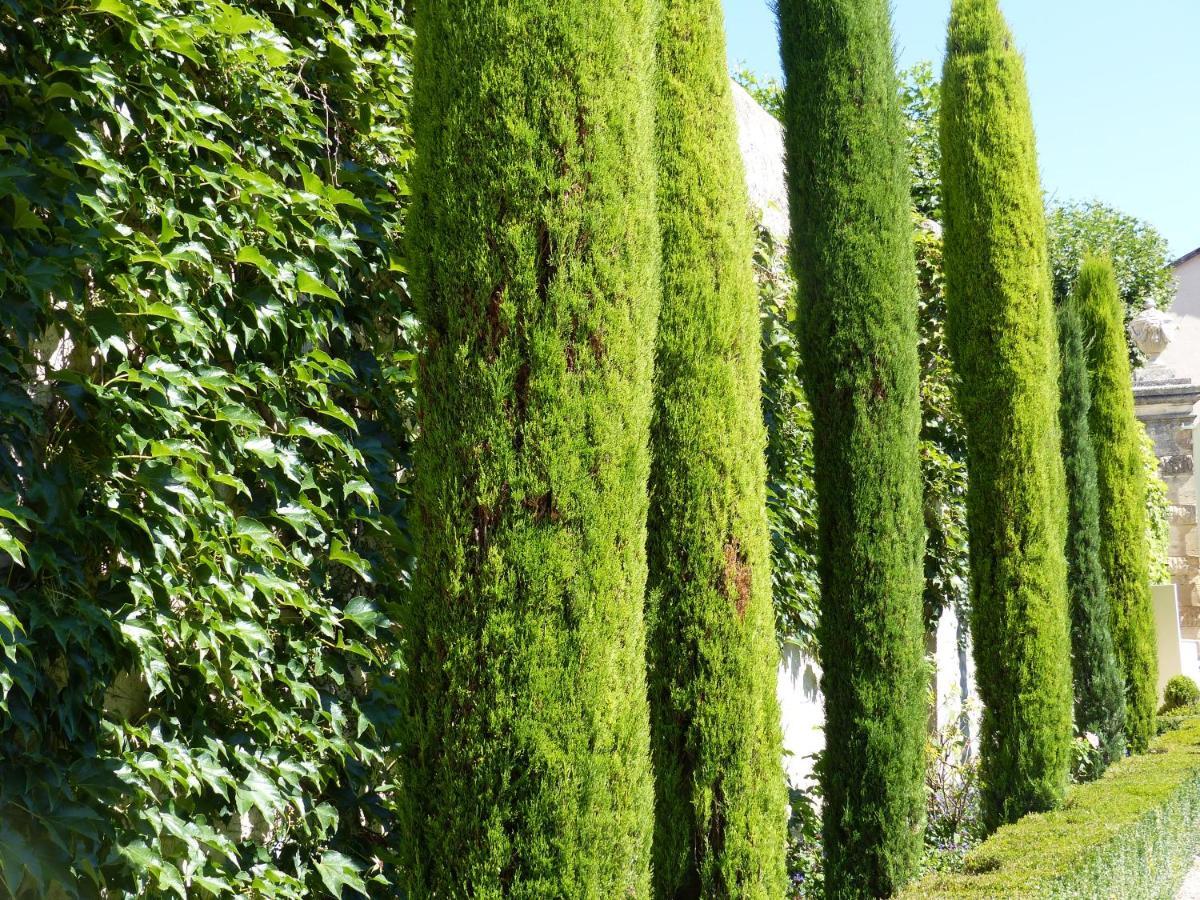 Chateau Du Grand Jardin Valensole Exterior photo
